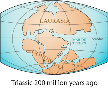 Tetis Sea 200 million years ago. Triassic