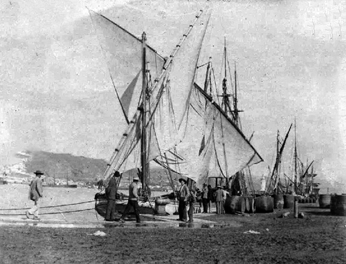 Puerto de Málaga en 1900