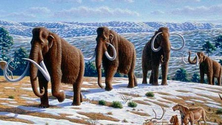 Los mamuts lanudos habitaron la Península ibérica 