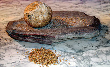 Pequeña herramienta para moler cereales del neolitico